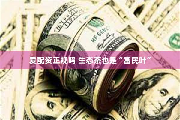 爱配资正规吗 生态茶也是“富民叶”
