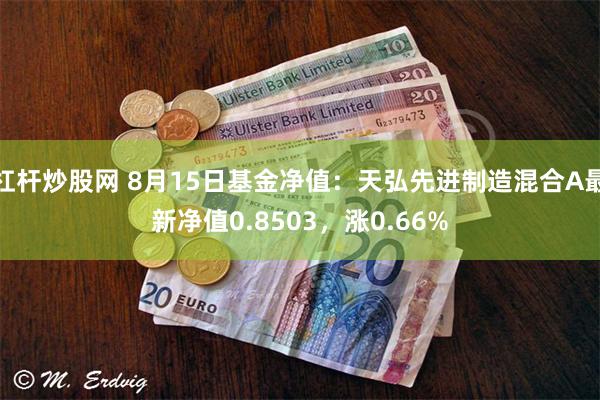 杠杆炒股网 8月15日基金净值：天弘先进制造混合A最新净值0.8503，涨0.66%