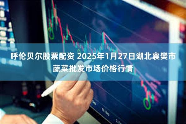 呼伦贝尔股票配资 2025年1月27日湖北襄樊市蔬菜批发市场价格行情