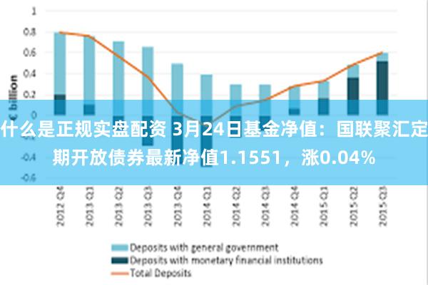 什么是正规实盘配资 3月24日基金净值：国联聚汇定期开放债券最新净值1.1551，涨0.04%