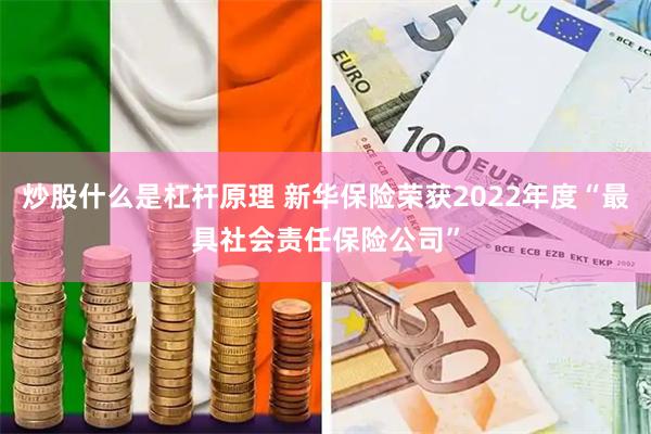 炒股什么是杠杆原理 新华保险荣获2022年度“最具社会责任保险公司”
