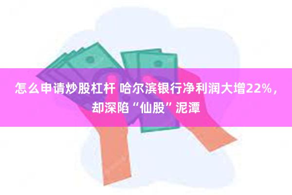 怎么申请炒股杠杆 哈尔滨银行净利润大增22%，却深陷“仙股”泥潭