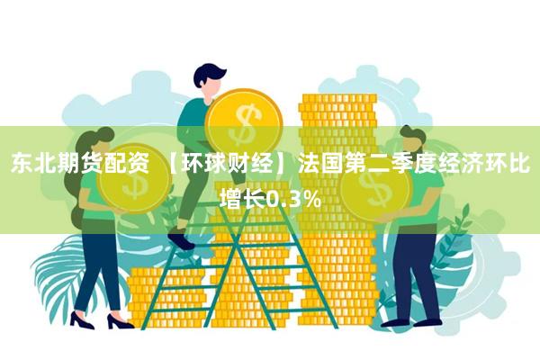 东北期货配资 【环球财经】法国第二季度经济环比增长0.3%
